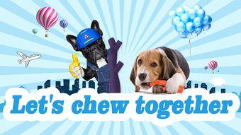 爆料宠物玩具视频大全,趣味无限,萌宠乐园视频大全 第3张 爆料宠物玩具视频大全,趣味无限,萌宠乐园视频大全 第3张