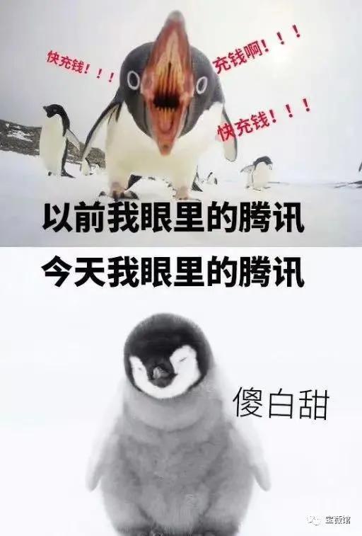 娱乐吃瓜酱自由男女平等,自由男女平等，共筑和谐娱乐生态  第1张